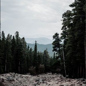 Meet your Posher, Arianna